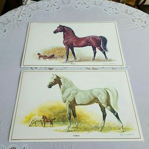 1972 AmericaMark Morgan & Arabian Placemats